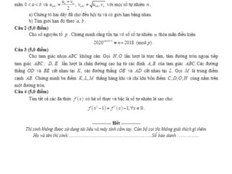 Đề chọn đội tuyển dự thi HSG Quốc gia 2020 môn Toán sở GD&ĐT Bắc Ninh