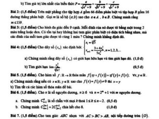 Đề chọn đội tuyển thi HSG Toán Quốc gia 2020 2021 trường chuyên Bến Tre (lần 2)