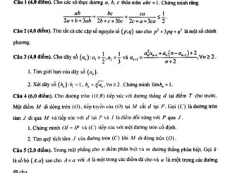 Đề chọn đội tuyển thi HSG Toán Quốc gia năm 2020 2021 sở GD&ĐT Ninh Bình