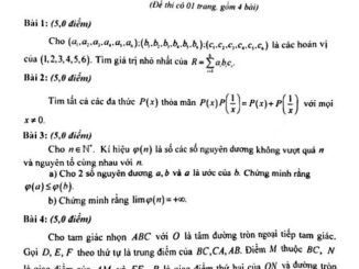 Đề chọn đội tuyển thi HSG Toán Quốc gia năm 2020 – 2021 sở GD&ĐT Tiền Giang