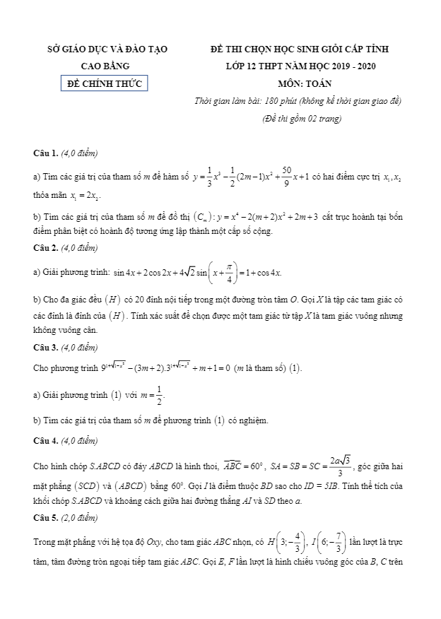 Đề chọn học sinh giỏi tỉnh Toán 12 năm 2019 2020 sở GD&ĐT Cao Bằng