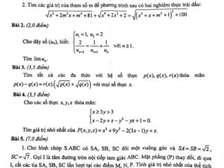 Đề chọn học sinh giỏi tỉnh Toán 12 năm 2020 2021 sở GD&ĐT Bình Định