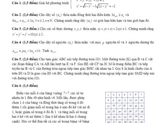 Đề chọn HSG Toán 12 cấp trường năm 2019 2020 THPT chuyên Nguyễn Trãi Hải Dương