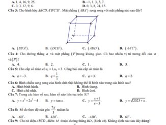 Đề cuối học kì 1 Toán 11 năm 2023 2024 trường THPT Lê Lợi Quảng Trị