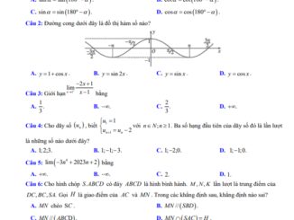Đề cuối kì 1 Toán 11 năm 2023 2024 trường THPT Mạc Đĩnh Chi Hải Phòng