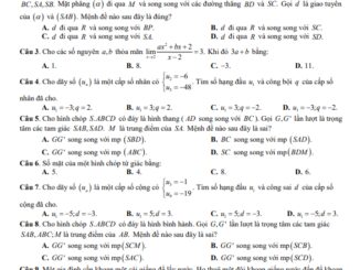 Đề cuối kì 1 Toán 11 năm 2023 2024 trường THPT Vĩnh Bảo Hải Phòng