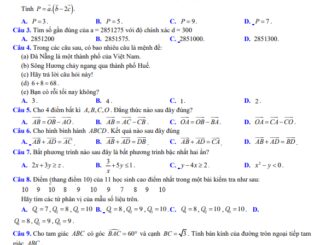 Đề học kỳ 1 Toán 10 năm 2023 2024 trường THPT Trần Kỳ Phong Quảng Ngãi