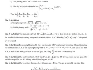 Đề học sinh giỏi Toán 11 năm 2023 2024 trường THPT Ngô Gia Tự Phú Yên