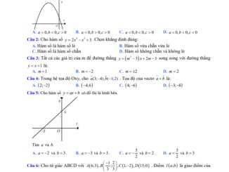 Đề khảo sát chất lượng Toán 10 lần 1 năm 2020 2021 trường THPT Đội Cấn Vĩnh Phúc