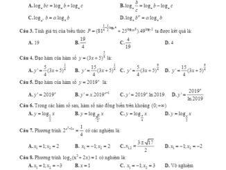 Đề kiểm tra 45 phút Giải tích 12 chương 2 trường Sơn Động 1 Bắc Giang