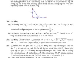 Đề kiểm tra cuối hè năm 2019 môn Toán 11 trường THPT chuyên Bắc Ninh