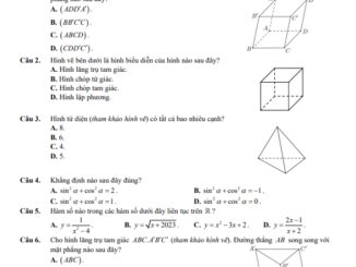 Đề kiểm tra cuối học kỳ 1 Toán 11 năm 2023 2024 sở GD&ĐT Kiên Giang