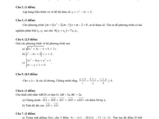 Đề kiểm tra học kỳ 1 Toán 10 năm 2019 2020 trường THPT Bình Tân TP HCM