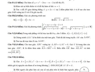 Đề kiểm tra Toán 10 lần 1 năm 2020 2021 trường THPT Lý Thái Tổ Bắc Ninh