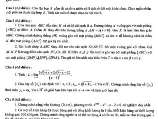 Đề thi chọn HSG Toán 11 năm 2019 2020 trường chuyên Lê Quý Đôn BR VT