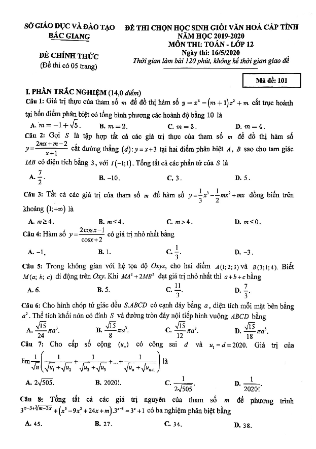 Đề thi chọn HSG Toán 12 cấp tỉnh năm học 2019 2020 sở GD&ĐT Bắc Giang