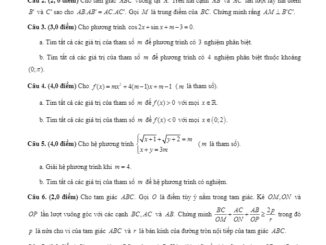 Đề thi chọn HSG Toán năm 2019 2020 trường THPT Ngô Gia Tự Phú Yên