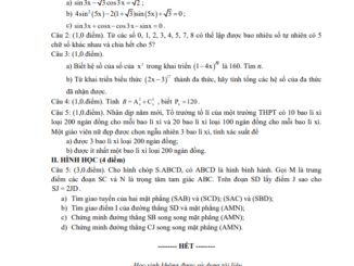 Đề thi cuối học kì 1 Toán 11 năm 2019 2020 trường THPT Phan Đăng Lưu TP HCM