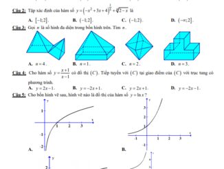 Đề thi cuối học kì 1 Toán 12 năm 2019 2020 trường THPT Nguyễn Hữu Huân TP HCM