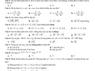 Đề thi giữa HK1 Toán 10 năm 2020 2021 trường THPT Nguyễn Thái Bình Quảng Nam