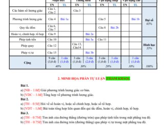 Đề thi giữa HK1 Toán 11 năm 2020 2021 trường THPT Lương Thúc Kỳ Quảng Nam