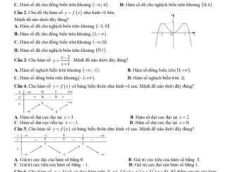 Đề thi giữa HK1 Toán 12 năm 2020 2021 trường THPT Lý Tự Trọng Quảng Nam
