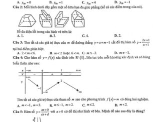 Đề thi giữa kỳ 1 Toán 12 năm 2020 2021 trường THPT chuyên Long An
