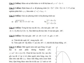 Đề thi HK1 Toán 10 năm 2019 2020 trường THPT Lương Thế Vinh TP HCM