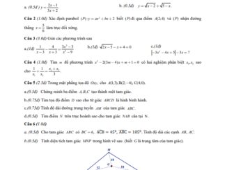 Đề thi HK1 Toán 10 năm 2019 2020 trường THPT Thủ Khoa Huân TP HCM