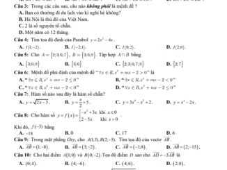 Đề thi HK1 Toán 10 năm 2020 2021 trường THPT Phan Ngọc Hiển Cà Mau