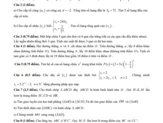 Đề thi HK1 Toán 11 năm 2019 2020 trường THPT An Dương Vương TP HCM