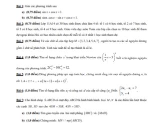 Đề thi HK1 Toán 11 năm 2019 2020 trường THPT Nguyễn Thị Minh Khai TP HCM