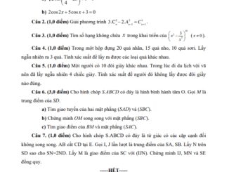 Đề thi HK1 Toán 11 năm 2019 2020 trường THPT Nguyễn Trung Trực TP HCM