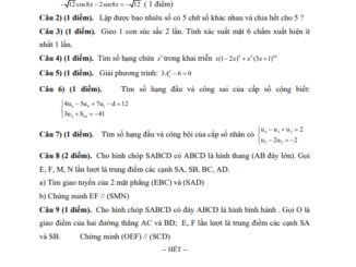 Đề thi HK1 Toán 11 năm 2019 2020 trường THPT Nguyễn Văn Cừ TP HCM