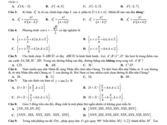 Đề thi HK1 Toán 11 năm 2020 2021 trường THPT Lê Lợi Quảng Trị