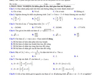 Đề thi HK1 Toán 11 năm 2020 2021 trường THPT Lý Thường Kiệt Bình Thuận