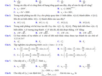 Đề thi HK1 Toán 11 năm 2020 2021 trường THPT Nam Duyên Hà Thái Bình