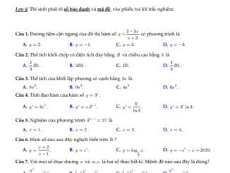 Đề thi HK1 Toán 12 năm 2019 2020 trường THPT Mạc Đĩnh Chi TP HCM
