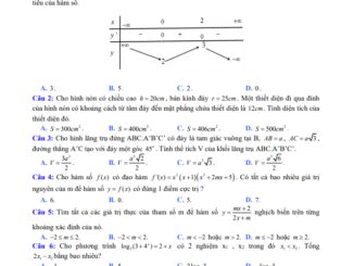 Đề thi HK1 Toán 12 năm 2019 2020 trường THPT Nguyễn Trung Trực TP HCM