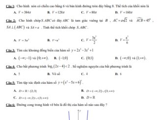 Đề thi HK1 Toán 12 năm 2019 2020 trường THPT Nguyễn Văn Tăng TP HCM