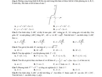 Đề thi HK1 Toán 12 năm 2019 2020 trường THPT Tạ Quang Bửu TP HCM