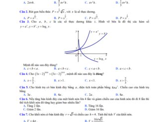 Đề thi HK1 Toán 12 năm 2019 2020 trường THPT Trần Hữu Trang TP HCM