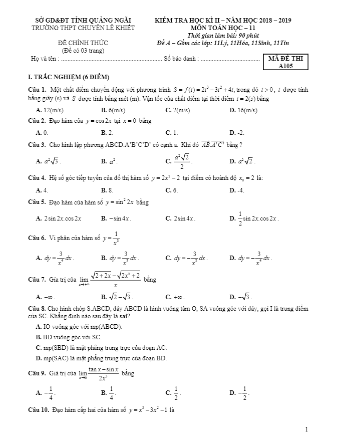 Đề thi HK2 Toán 11 năm 2018 2019 trường chuyên Lê Khiết Quảng Ngãi