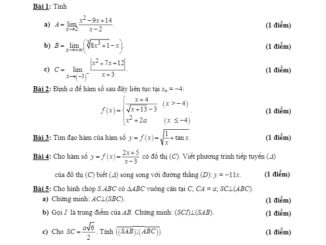 Đề thi HK2 Toán 11 năm 2019 2020 trường THPT Nguyễn Thị Minh Khai TP HCM