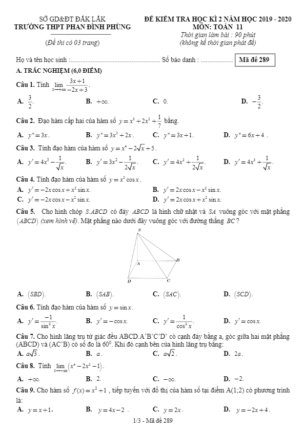 Đề thi HK2 Toán 11 năm 2019 2020 trường THPT Phan Đình Phùng Đắk Lắk