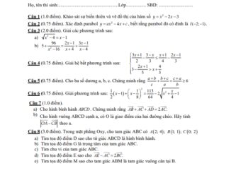 Đề thi học kì 1 Toán 10 năm 2019 2020 trường THPT An Nghĩa TP HCM