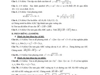 Đề thi học kì 1 Toán 10 năm 2019 2020 trường THPT Lê Trọng Tấn TP HCM