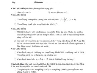 Đề thi học kì 1 Toán 11 năm 2019 2020 trường Giồng Ông Tố TP HCM