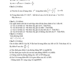 Đề thi học kì 1 Toán 11 năm 2019 2020 trường THPT An Lạc TP HCM