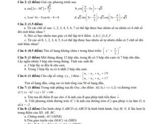 Đề thi học kì 1 Toán 11 năm 2019 2020 trường THPT Bách Việt TP HCM